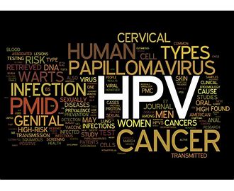 مخفف HPV چیست