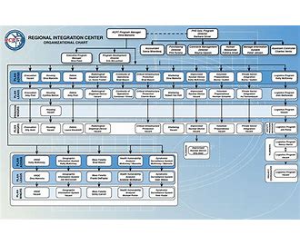 مخفف کلمه NYPD چیست؟