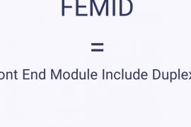 FEMID